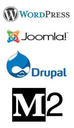 CONTENT MANAGEMENT SYSTEMS