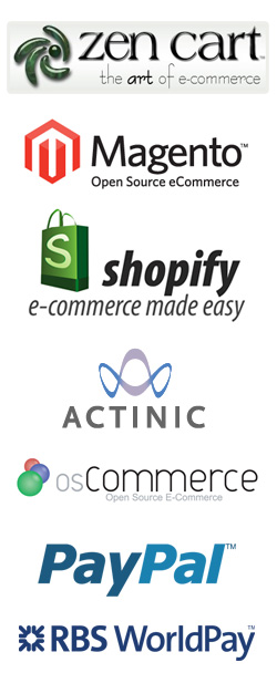 ECOMMERCE WEBSITE SOLUTIONS